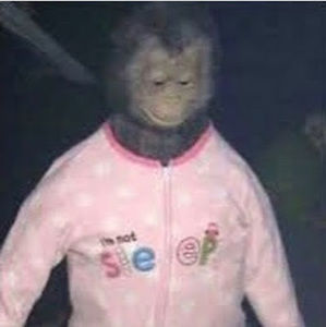 Meet your Posher, Edgy